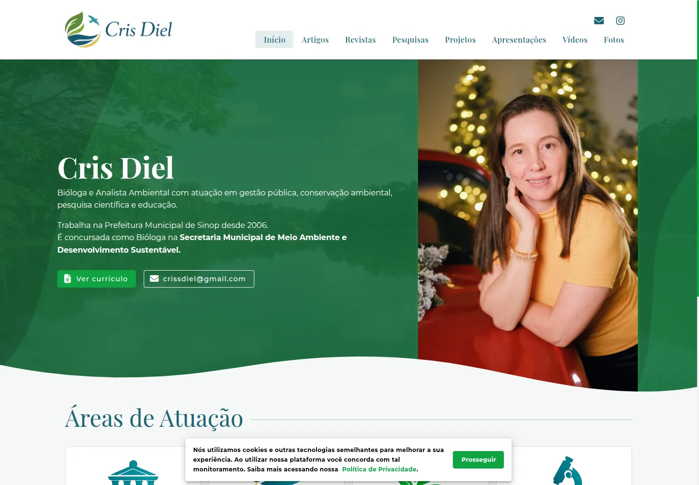 Site de Cris Diel em computador